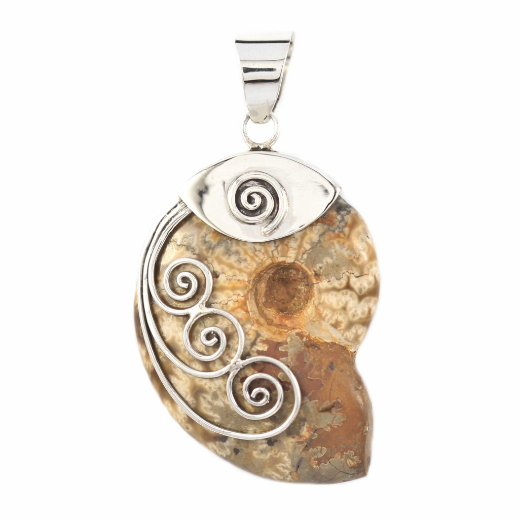 liontin ammonite